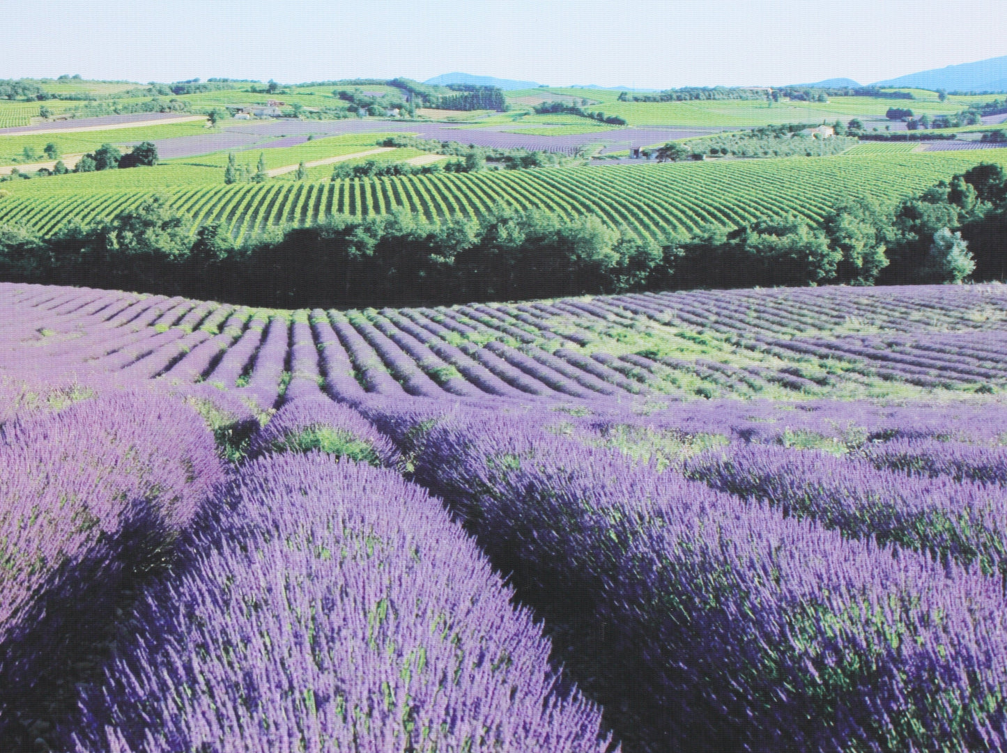 Lavendel Blüten - Savon de Marseille BIO